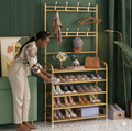 Golden metallic Shoe and Clothes Rack