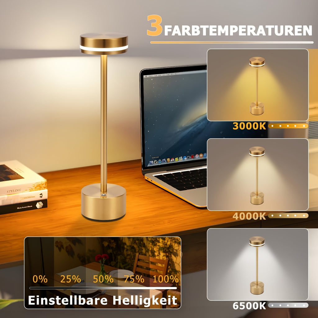 Cordless LED Desk Lamp with a Battery