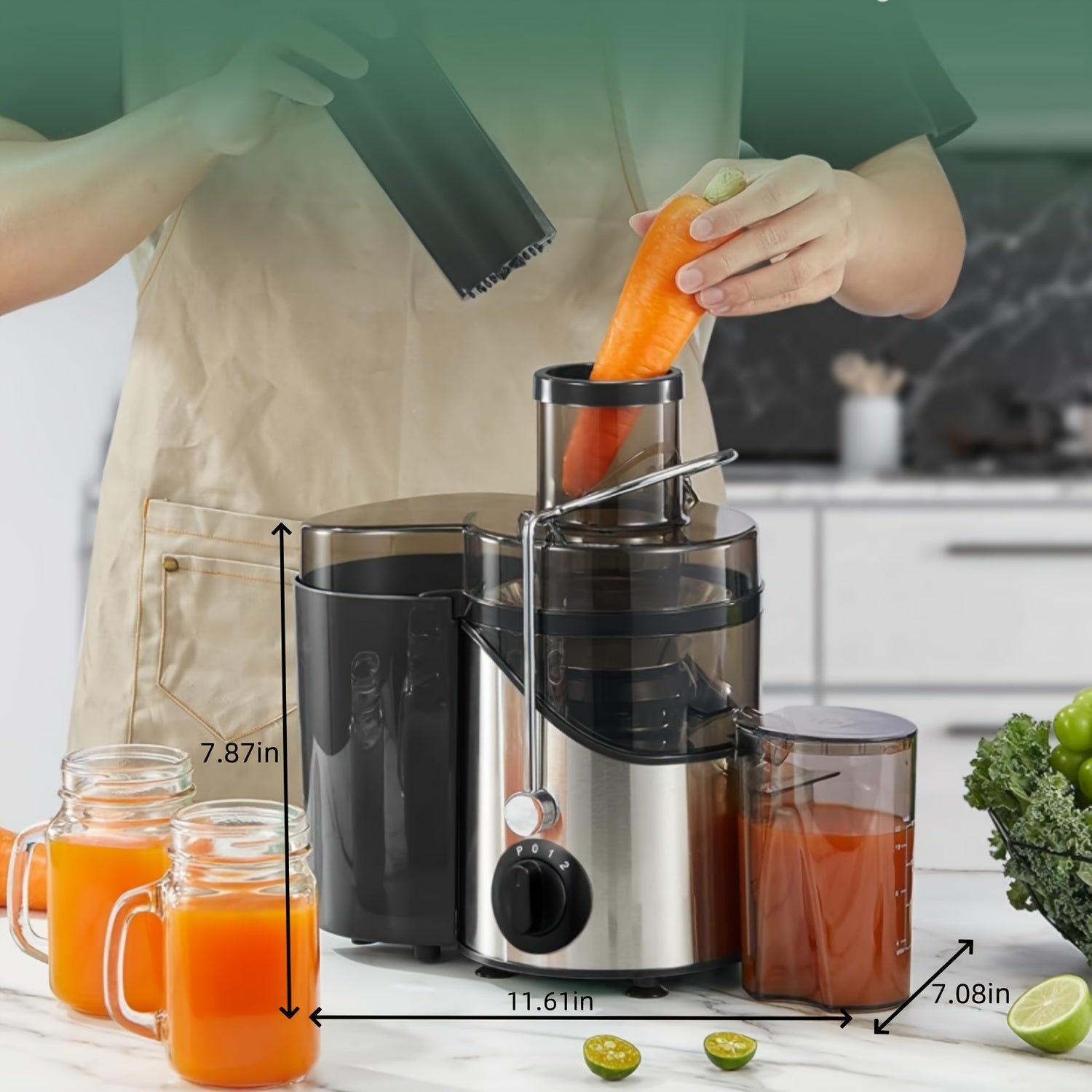Hoffman juice extractor